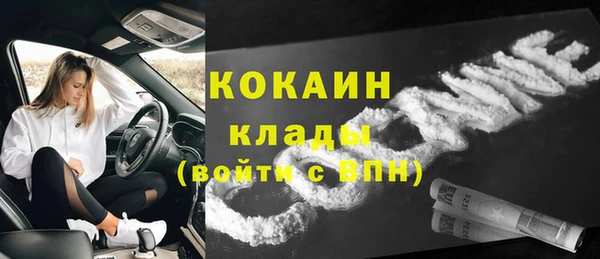 альфа пвп Новодвинск