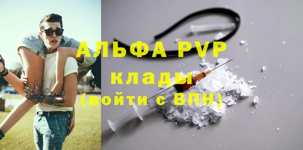 альфа пвп Новодвинск