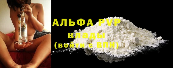 альфа пвп Новодвинск