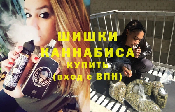 альфа пвп Новодвинск
