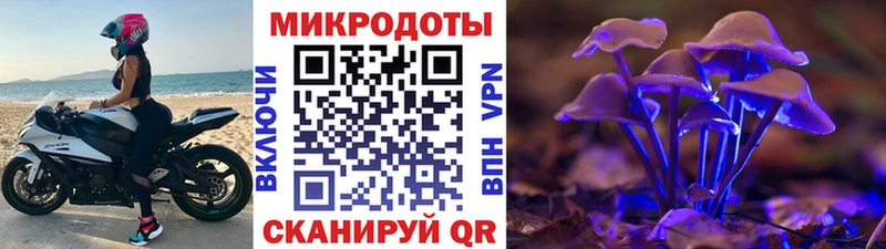 где купить наркоту Первомайск Псилоцибиновые грибы Magic Shrooms